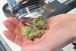 Chronic Thunder Strain