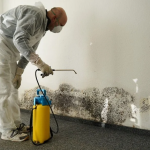 Eliminating Musty Damp Odors in Finished Lower Levels: Top Carpet Cleaning Service in Washington Township, MI