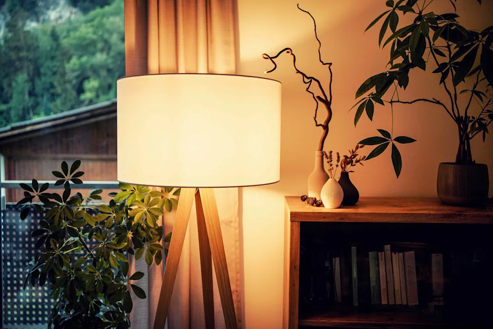 The Overlooked Corners Of A Home That Deserve More Attention